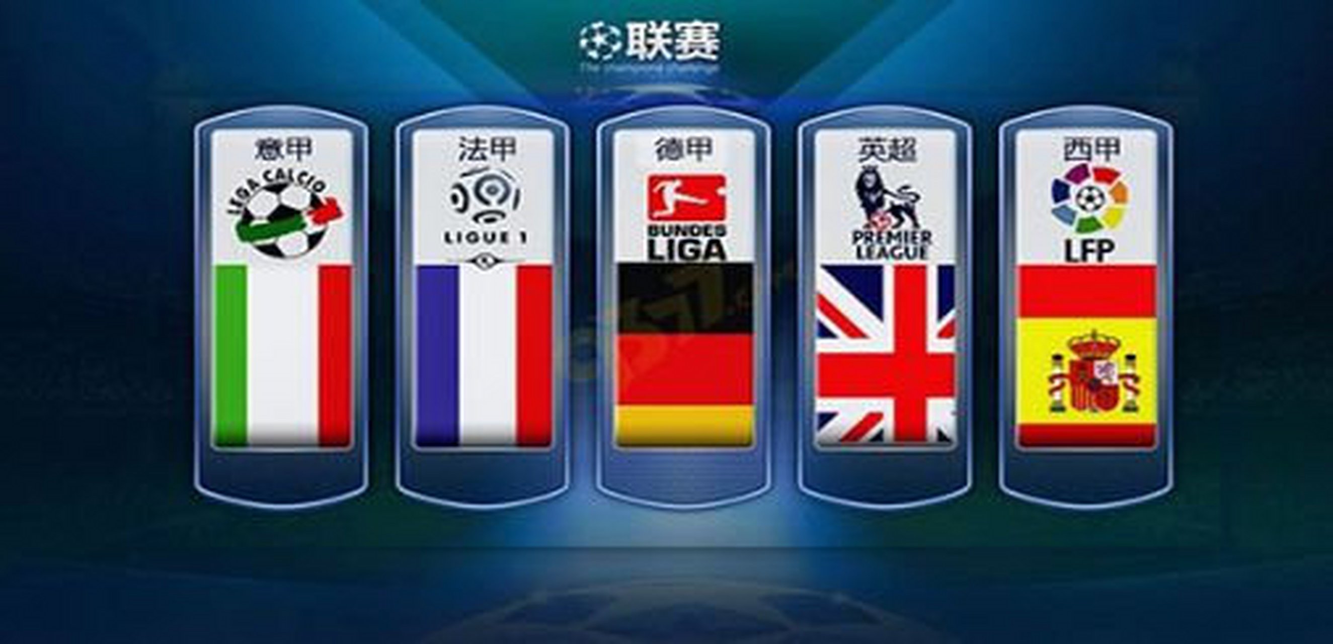 不仅具备丰 不仅具备丰